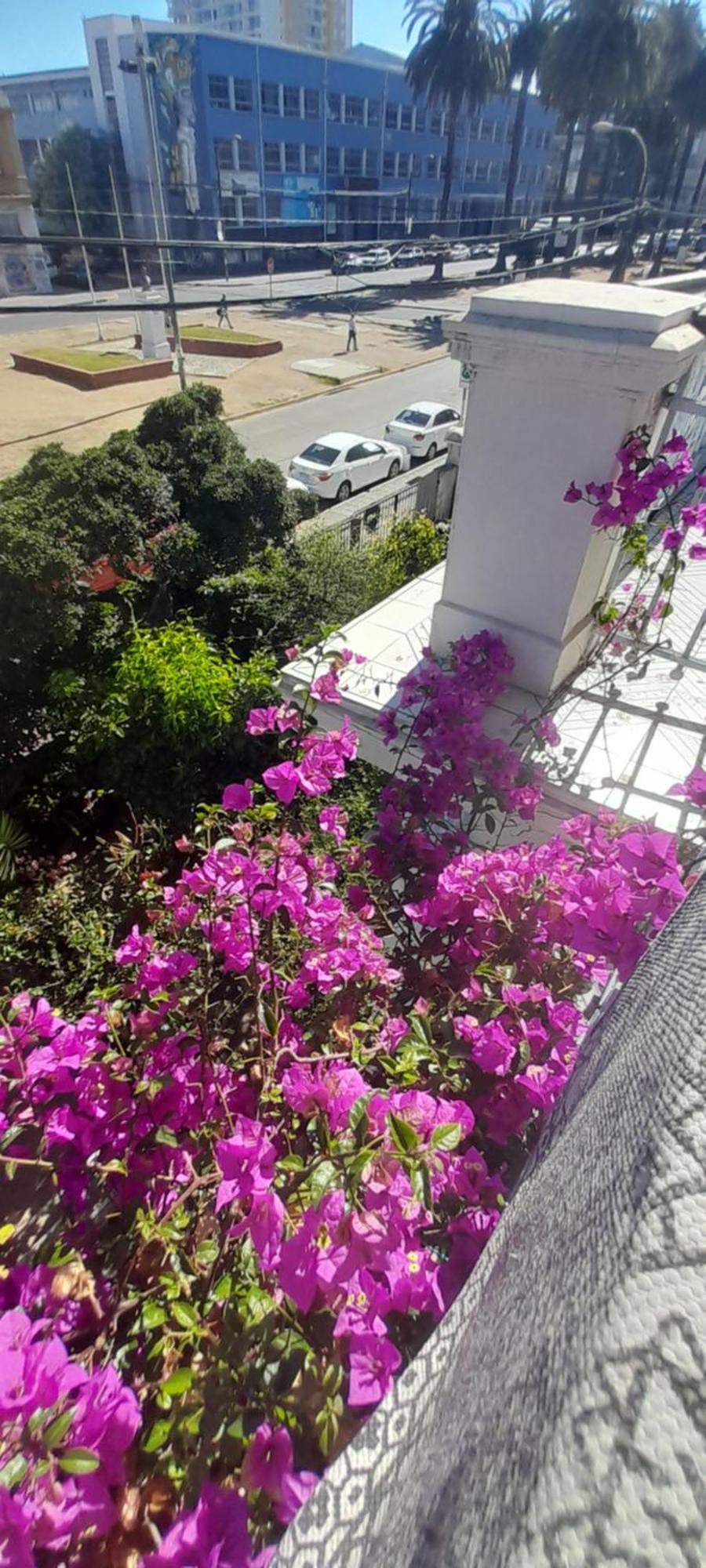 Blanca Rosa Valparaiso B&B Екстер'єр фото